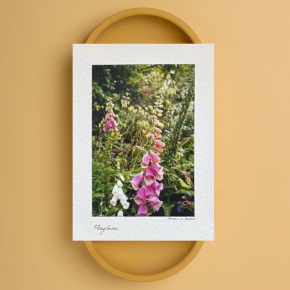 Wild Flower Stationary Card - Picture 8 of 16